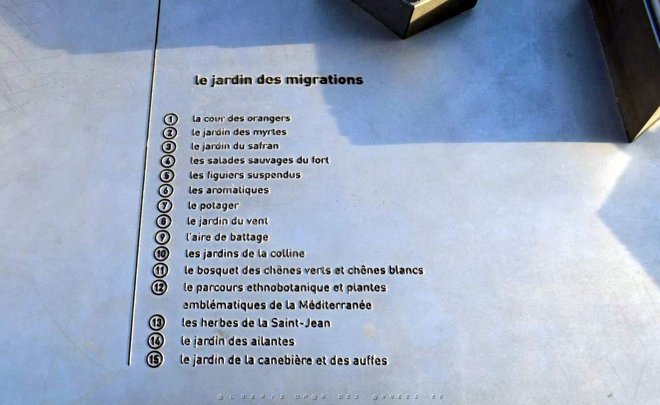 Marseille- Autour du Mucem- 080.jpg
